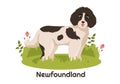 Newfoundland Dog Animals with Black, Brown or Landseer Color in Flat Style Cute Cartoon Template Hand Drawn Illustration