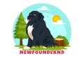 Newfoundland Dog Animals Vector Illustration with Black, Brown or Landseer Color in Flat Style Cute Cartoon Nature Background Royalty Free Stock Photo