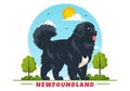 Newfoundland Dog Animals Vector Illustration with Black, Brown or Landseer Color in Flat Style Cute Cartoon Nature Background Royalty Free Stock Photo