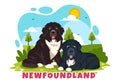 Newfoundland Dog Animals Vector Illustration with Black, Brown or Landseer Color in Flat Style Cute Cartoon Nature Background Royalty Free Stock Photo