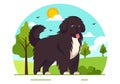 Newfoundland Dog Animals Vector Illustration with Black, Brown or Landseer Color in Flat Style Cute Cartoon Nature Background Royalty Free Stock Photo