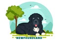 Newfoundland Dog Animals Vector Illustration with Black, Brown or Landseer Color in Flat Style Cute Cartoon Nature Background Royalty Free Stock Photo