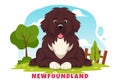 Newfoundland Dog Animals Vector Illustration with Black, Brown or Landseer Color in Flat Style Cute Cartoon Nature Background Royalty Free Stock Photo