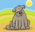 Newfoundland dog cartoon illustration