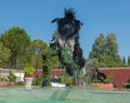 Newfoundland dog in swimming pool Royalty Free Stock Photo