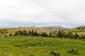 Newfoundland landscape Royalty Free Stock Photo