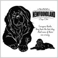 Newfoundland - vector illustration for t-shirt, logo and template badges