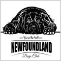 Newfoundland - vector illustration for t-shirt, logo and template badges