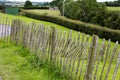 Newgrange, Bru na Boinne