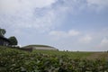 Newgrange 3200 BC | The Temple of the Rising Sun