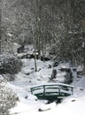 Newland Falls in Snow (vert)