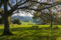 Newlands Corner ,Surrey