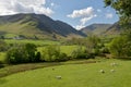 Newlands Valley Royalty Free Stock Photo