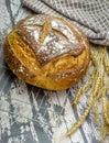 Newly baked sourdough bread on a baking wire with a cloth.