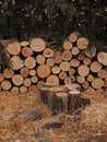 Newly felled timber stack of wood Royalty Free Stock Photo
