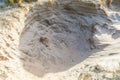 Dune landscape Dutch coast with sand drifts and wind eroded deep holes Royalty Free Stock Photo