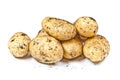 Newly harvested dirty potatoes heap isolated on white background