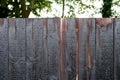 Newly installed and creosoted wooden panelled fence seen within a garden. Royalty Free Stock Photo