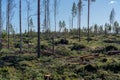 Newly made deforestation area in Sweden Royalty Free Stock Photo