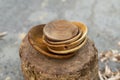 Newly made wooden bowls closeup Royalty Free Stock Photo