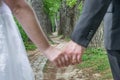 A newly married couple in front of the symbolic path of life in a fairytale forest, Germany