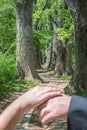 A newly married couple in front of the symbolic path of life in a fairytale forest, Germany