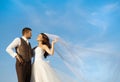 Newly married couple portrait with blue sky Royalty Free Stock Photo