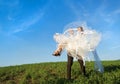 Newly married couple portrait with blue sky Royalty Free Stock Photo