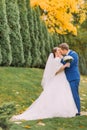 Newly married couple strolling in green sunny park with cypress trees Royalty Free Stock Photo