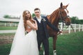 Newly married wedding couple stand with beautiful horse on nature Royalty Free Stock Photo