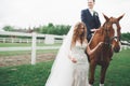 Newly married wedding couple stand with beautiful horse on nature Royalty Free Stock Photo