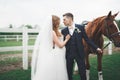 Newly married wedding couple stand with beautiful horse on nature Royalty Free Stock Photo