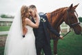 Newly married wedding couple stand with beautiful horse on nature Royalty Free Stock Photo