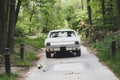 Newly married weding couple driving away in classic car and throws bridal bouquet out the window Royalty Free Stock Photo