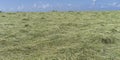 Newly Mown Hay Field on a Bright Sunny Day