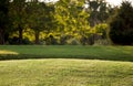 Newly mown lawn Royalty Free Stock Photo