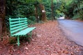 A Newly painted bench in the roadside park