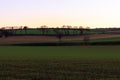 The newly planted fields begin to see corn grow at sunset