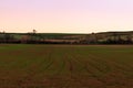 The newly planted fields begin to see corn grow at sunset