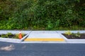 Newly planted median between the street and new sidewalk, including disabled entrance ramp, ferns, ornamental grasses, other plant