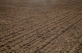 Newly Ploughed Field