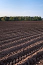 Newly ploughed field ready for new crops, close up view at the brown earth