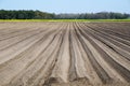 Newly ploughed rows