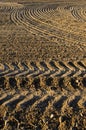 Newly plowed clay soil field