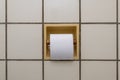 Newly refilled toilet paper roll Royalty Free Stock Photo