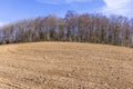 Newly sown field in the spring Royalty Free Stock Photo