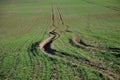 The newly sown lawn that germinates slowly. autumn mud does not allow passage on the grass, let alone vehicles. if the coolant get