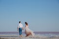 Newly wed couple holding their hands walking by the sea shore. Bride in ivory flying dress. Back view Royalty Free Stock Photo