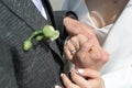 Newly wed couple& x27;s hands with wedding rings Royalty Free Stock Photo