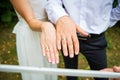 Newly wed couple& x27;s hands with wedding rings Royalty Free Stock Photo